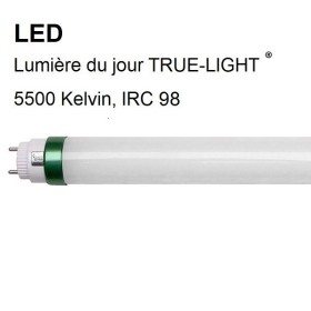 Ampoule LED lumière du jour d'exception - 5500K - IRC 96 - True-Light