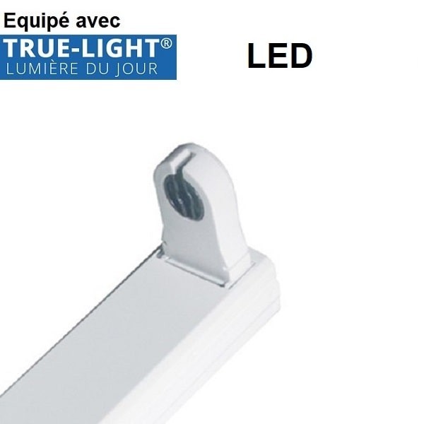 Réglette LED T8 simple + 1 tube LED TRUE-LIGHT