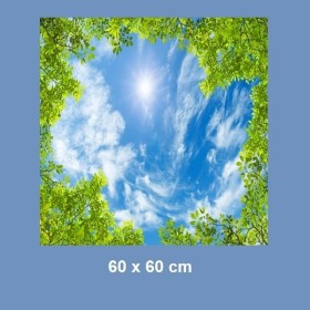 Ciel cumulus