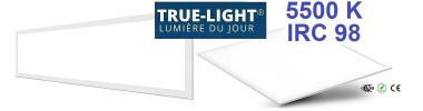 TRUE-LIGHT