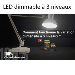 dimmable-3-niveaux.png