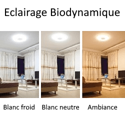 eclairage biodynamique