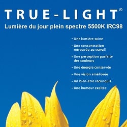 true-light
